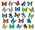 Big group of colorful butterflies, flying in different directions.