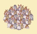 Big group rabbits pets animal round composition Royalty Free Stock Photo