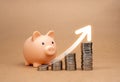 Big growing arrow rising on coin stacks as graph steps near cute pink piggy bank isolated on brown background. Saving money, Royalty Free Stock Photo