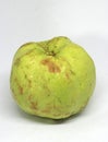 a big guava green