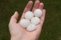 Big Hail after hailstorm