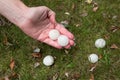 Big Hail after hailstorm Royalty Free Stock Photo