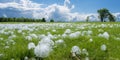 Big Hails after Hailstorm, Huge Ice Hail in Green Grass, Large Hailstone Damage, Big Ice Balls, Natural Disaster Royalty Free Stock Photo