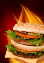 Big hamburger Royalty Free Stock Photo