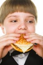 Big hamburger Royalty Free Stock Photo