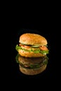 Big hamburger on black background12