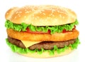 Big hamburger with chicken and beef cutlets