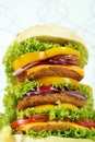 Big hamburger closeup Royalty Free Stock Photo