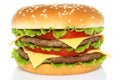 Big hamburger Royalty Free Stock Photo