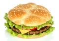 Big hamburger on white background