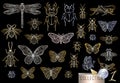 Big hand drawn golden line set of insects bugs, beetles, honey bees, butterfly, moth, bumblebee, wasp, dragonfly, grasshopper. Royalty Free Stock Photo