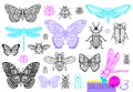 Big hand drawn line set of insects bugs, beetles, honey bees, butterfly moth, bumblebee, wasp, dragonfly, grasshopper. Royalty Free Stock Photo