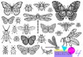 Big hand drawn line set of insects bugs, beetles, honey bees, butterfly moth, bumblebee, wasp, dragonfly, grasshopper. Royalty Free Stock Photo