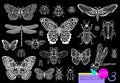 Big hand drawn line set of insects bugs, beetles, honey bees, butterfly moth, bumblebee, wasp, dragonfly, grasshopper. Royalty Free Stock Photo