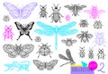 Big hand drawn line set of insects bugs, beetles, honey bees, butterfly moth, bumblebee, wasp, dragonfly, grasshopper. Royalty Free Stock Photo