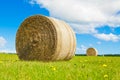 Big hay bale roll in a lush field Royalty Free Stock Photo