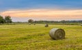 Big hay bale rolls in a lush green field Royalty Free Stock Photo