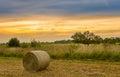 Big hay bale rolls in a lush green field Royalty Free Stock Photo