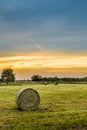 Big hay bale rolls in a lush green field Royalty Free Stock Photo