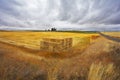 The big haystack on an autumn floor after harvesting Royalty Free Stock Photo