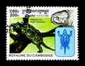 Big-headed Turtle Platysternon megacephalum, Turtles serie, circa 1998