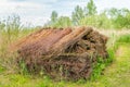 Big heap with bundled willow branches