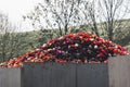 Heap of plastic waste lanterns sorted for recycling