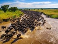 Big herd of wildebeest is about Mara Great Masai Mara National Park