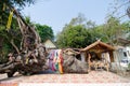 Big hopea tree and the spirit house Royalty Free Stock Photo