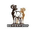 BIG HORN SHEEP LOGO