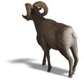 Big horn sheep aries Royalty Free Stock Photo