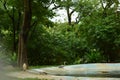 Crocodiles in Jungle/Zoo Park,wildlife Stock Photograph Image