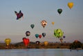 Big hummingbird, green frog and colourful Hot air balloons