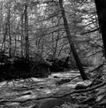 Big Hunting Creek in Maryland Royalty Free Stock Photo
