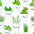 Big icon seamless pattern set of culinary herbs in white pots with labels. Green growing basil, sage, rosemary,