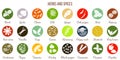 Big icon set of popular culinary herbs and spices white silhouettes Royalty Free Stock Photo