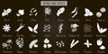 Big icon set of popular culinary herbs and spices white silhouettes