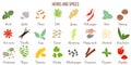Big icon set of popular culinary herbs and spices white silhouettes Royalty Free Stock Photo