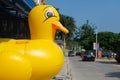 Big inflatable duck doll