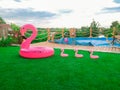 Big inflatable and three small flamingos on the green grass in front of the pool. Coasters for the pool. The concept of summer