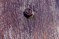 big iron nut on a wooden panel. wood texture, close-up Royalty Free Stock Photo