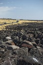 Big island lava fields