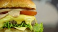Big juicy cheeseburger with salad and sauce close up