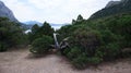 big juniper bush growing in the reserve New World Crimea