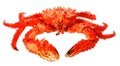 Big Kamchatka crab