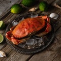 Big king crab on black plate served with ice cubes. Lime and seashells background. Seafood concept. Close-up Royalty Free Stock Photo