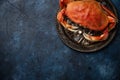 The big king crab on round black plate served with ice on dark background. Seafood concept Royalty Free Stock Photo