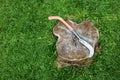 The big knife with long wooden handle on the tree stump Royalty Free Stock Photo