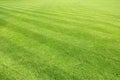 Big lawn Royalty Free Stock Photo