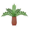 Big leaves houseplant icon cartoon vector. Leaf potted Royalty Free Stock Photo